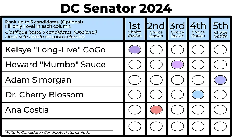 Example DC Ranked Choice Voting Ballot